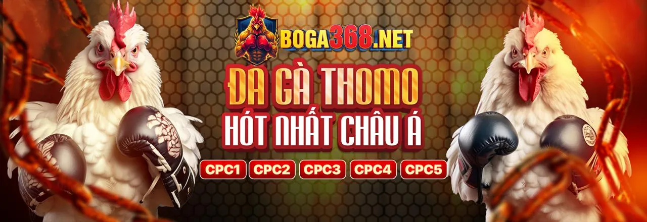 Đá gà trực tuyến kịch tính tại vui88 code