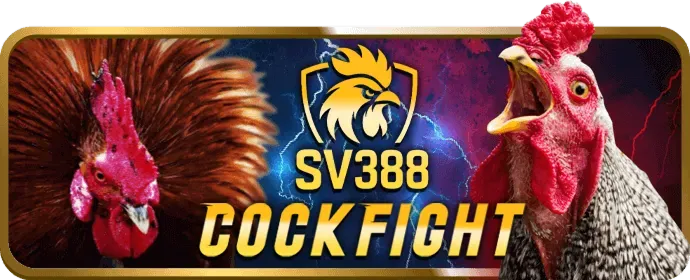 Hoàn trả cược thể thao hàng tuần tại Vui88 Code